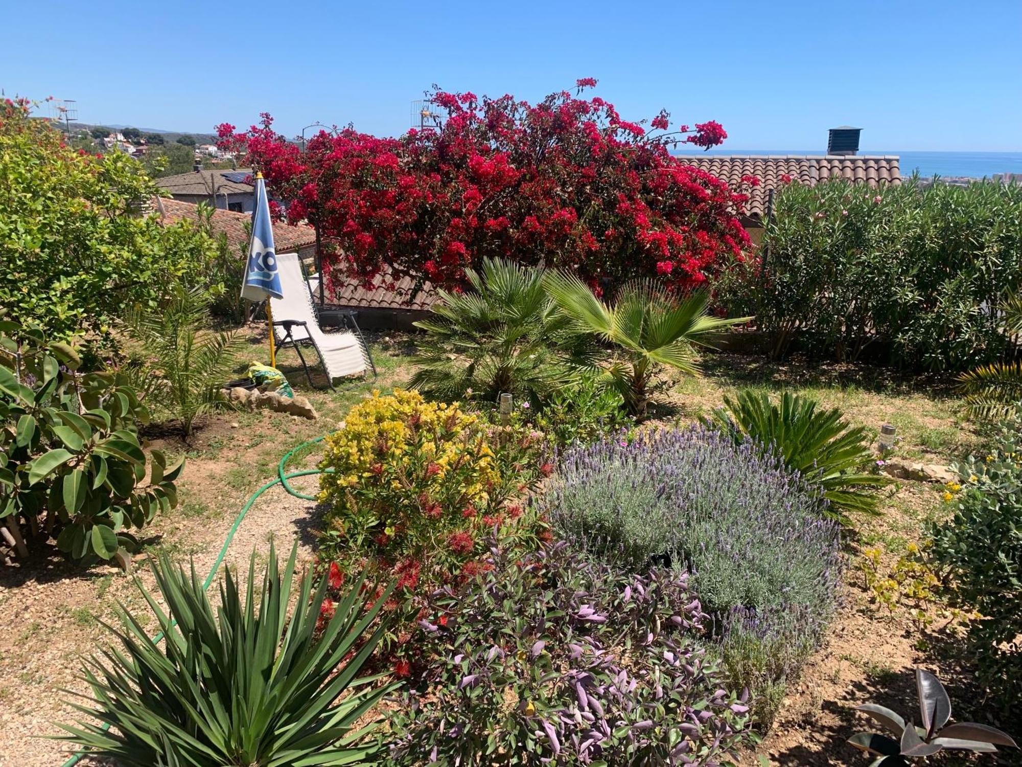 Precioso Apartamento Con Vista Al Mar Calafell Buitenkant foto